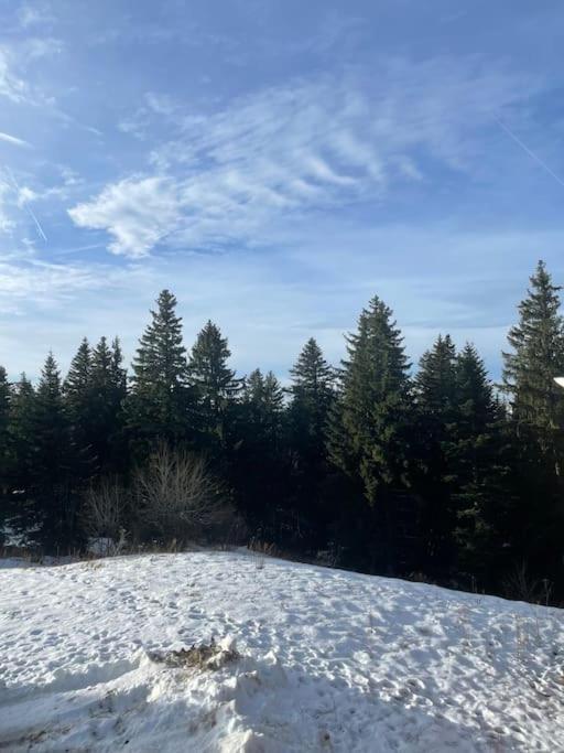 Chamrousse A 50M Des Pistes Appart 4/6 ภายนอก รูปภาพ
